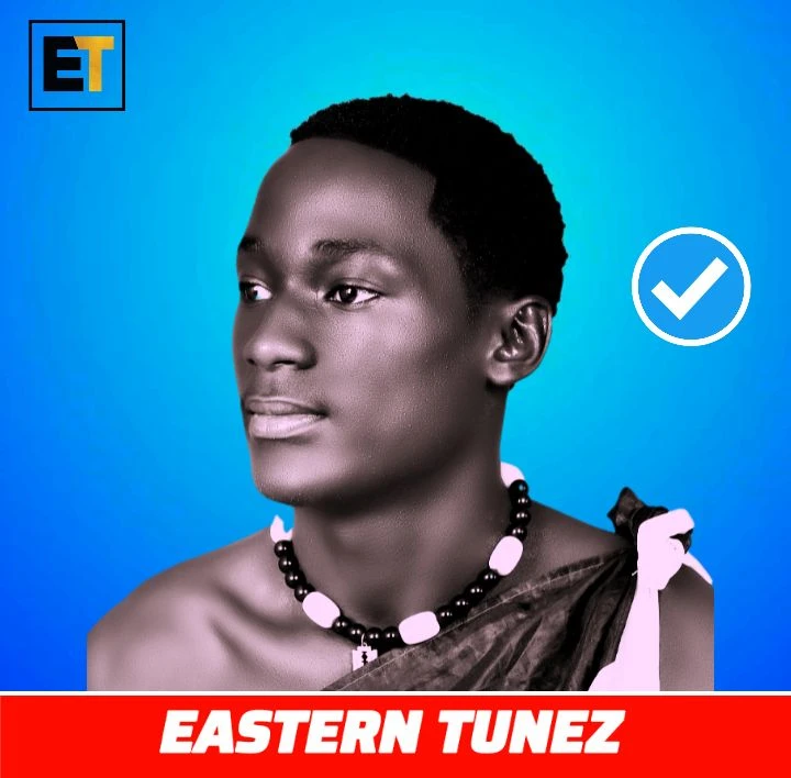 Would You Ft Sqas Nofi and Fame Dellah - Richie Kary